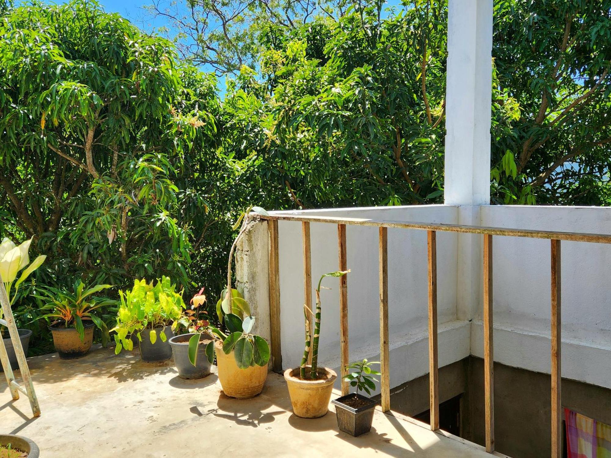 Sun sea guest home Tangalle Extérieur photo